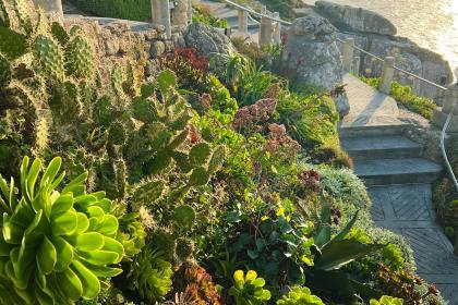 The Minack Garden