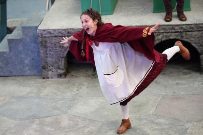 The Wolves of Willoughby Chase