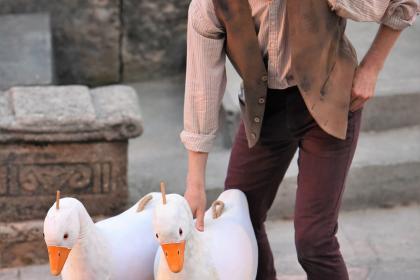 The Wolves of Willoughby Chase