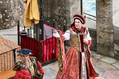 Horrible Histories : Terrible Tudors