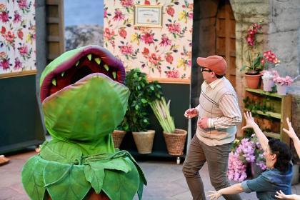 Little Shop of Horrors - Redruth Amateur Operatic Society Trust