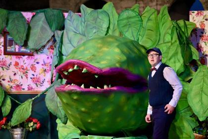Little Shop of Horrors - Redruth Amateur Operatic Society Trust
