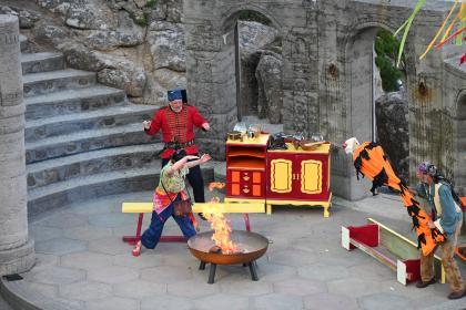 The Firework Maker's Daughter