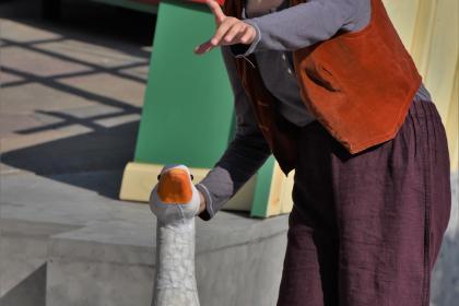 The Wolves of Willoughby Chase