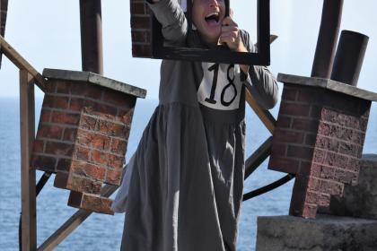 The Wolves of Willoughby Chase