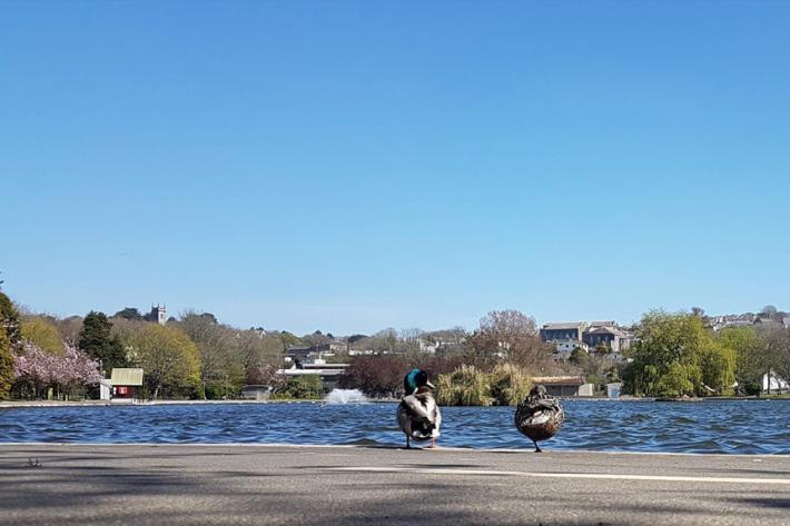 Coronation Park, Helston