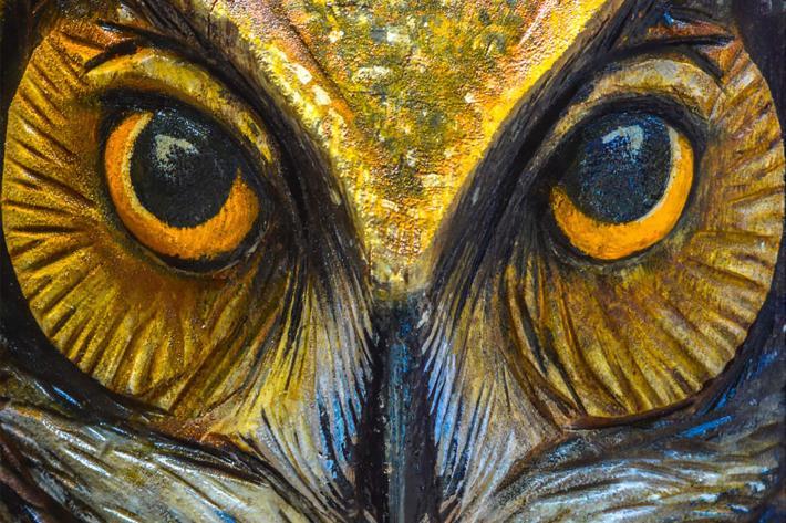 picture of an owl