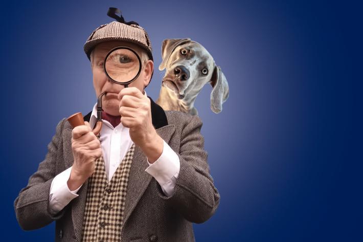 The Hound of the Baskervilles