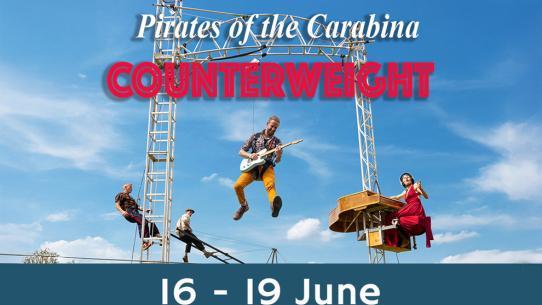 Counterweight