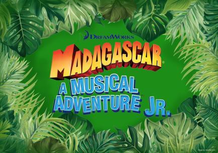 Madagascar Jr