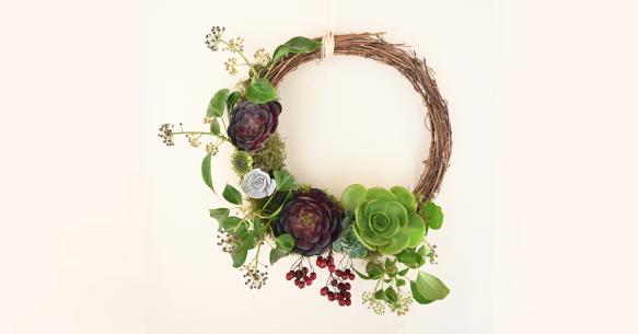 A Christmas wreath made of succulents and ivy